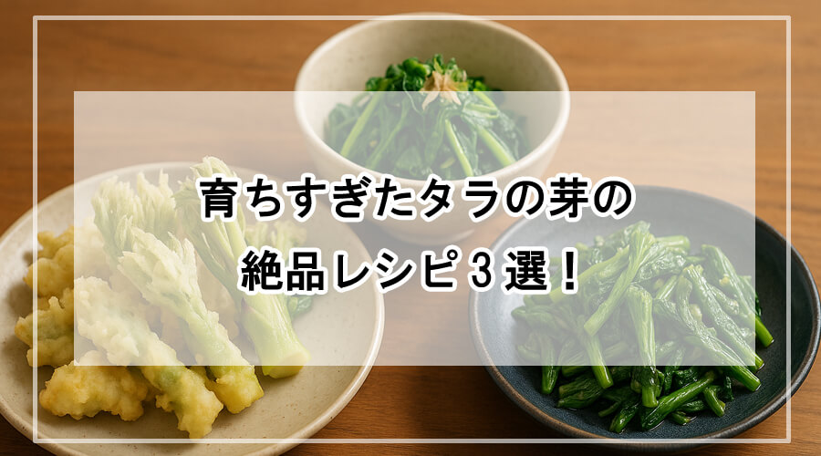 木製のテーブルの上に並んだタラの芽料理3品。左から天ぷら、おひたし、バター醤油炒めが丁寧に盛り付けられている。自然光が差し込む温かみのある食卓。