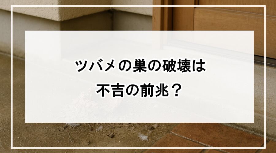 濡れた玄関先に落ちた崩れかけたツバメの巣