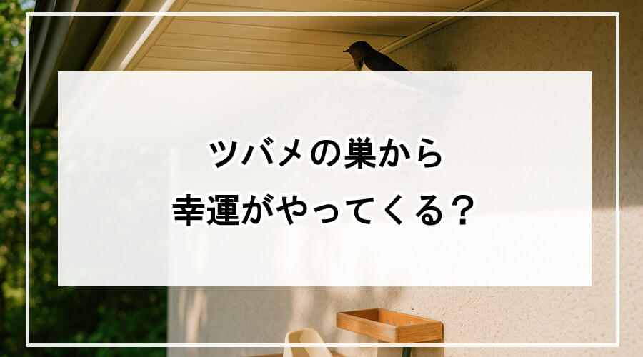 ツバメの巣に寄り添う親鳥と清潔に保たれた巣の下の掃除道具
